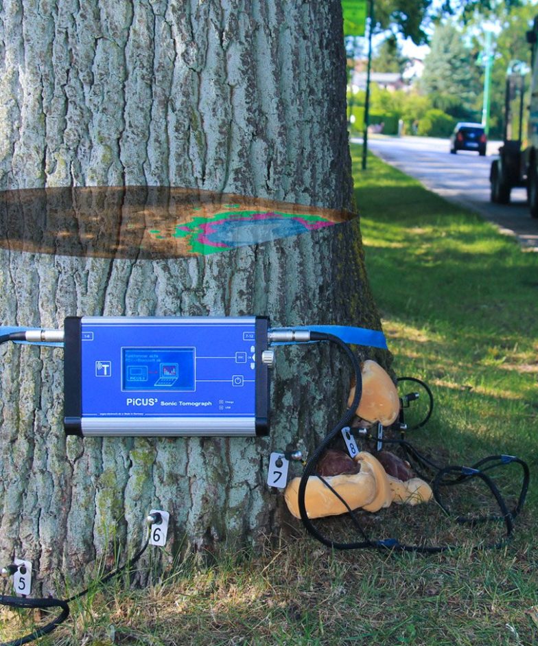 PiCUS Sonic Tomograph