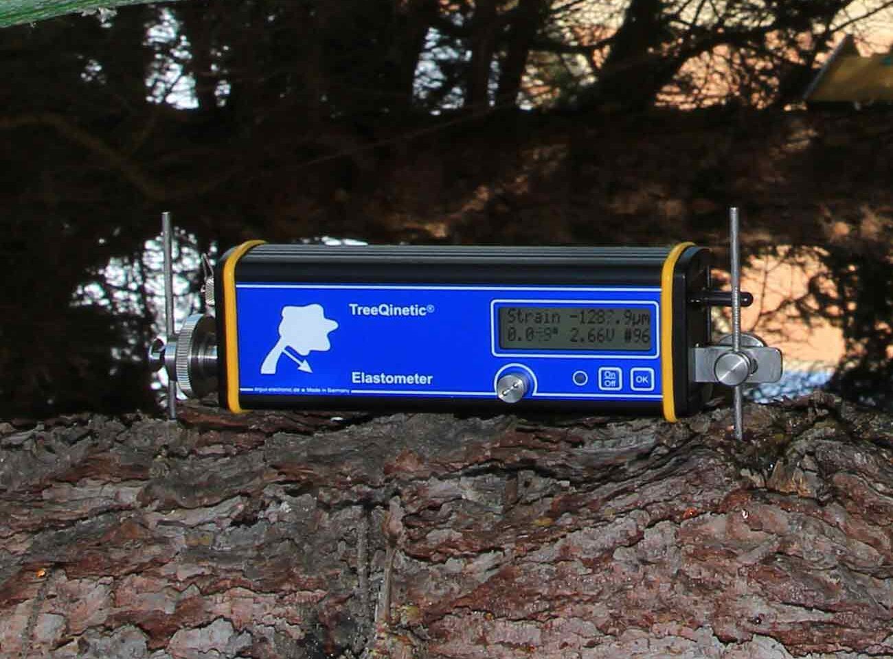 Erfolgreiche Umsetzung der Reverse Rigging Methode mit PiCUS TreeQinetic