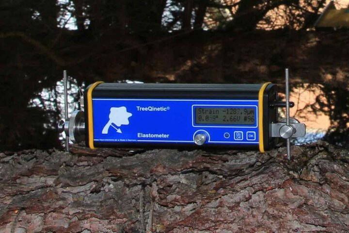 Erfolgreiche Umsetzung der Reverse Rigging Methode mit PiCUS TreeQinetic