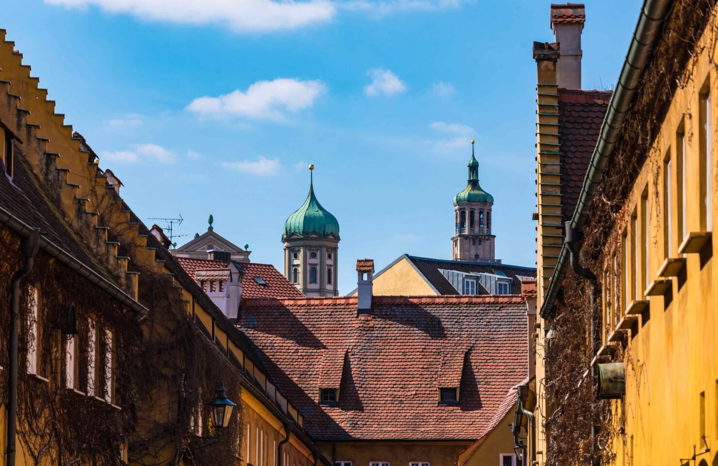 Wir sind dabei: Augsburger Baumpflegetage